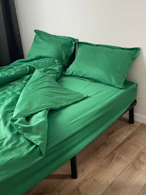Комплект постільної білизни класичний зелений Cozy модель 9945733 Фото