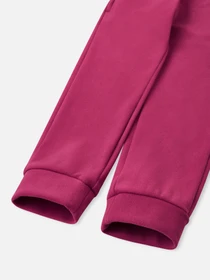 Штани REIMA Tarvis модель 5200386A-39A0 Фото