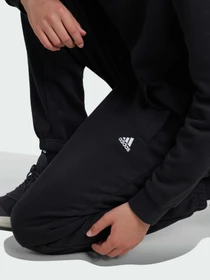 Брюки Adidas модель IV7311 Фото