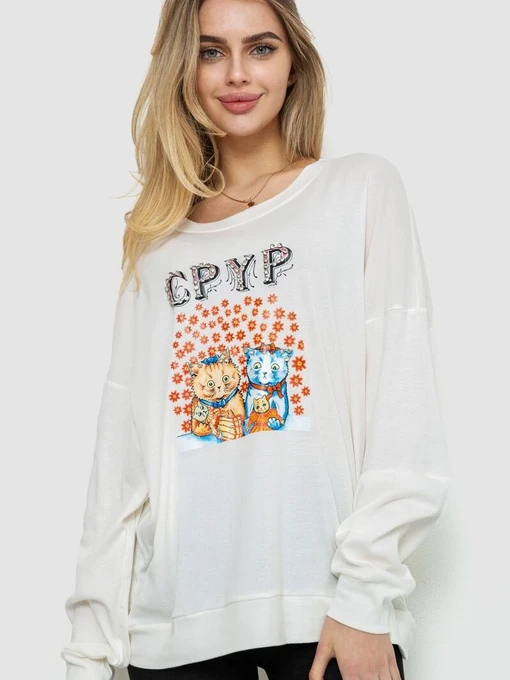 Худи и свитшоты Ager модель У-1128613::000000060 Фото
