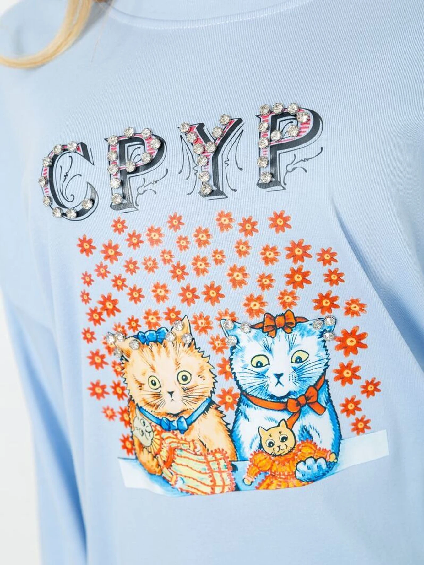 Худи и свитшоты Ager модель У-1128613::000000392 Фото