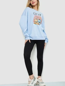 Худи и свитшоты Ager модель У-1128613::000000392 Фото