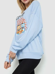 Худи и свитшоты Ager модель У-1128613::000000392 Фото