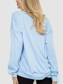 Худи и свитшоты Ager модель У-1128613::000000392 Фото