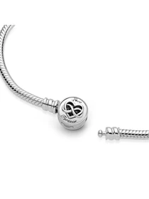 Для шармов PANDORA Moments модель 599365C00 Фото