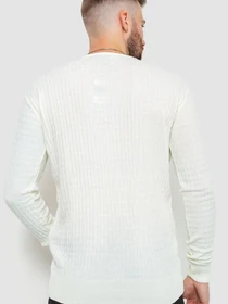 Светри та кардигани Ager модель У-1126152::000000060 Фото