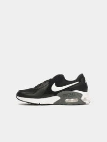 Кросівки NIKE Air Max Excee модель CD5432.003 Фото