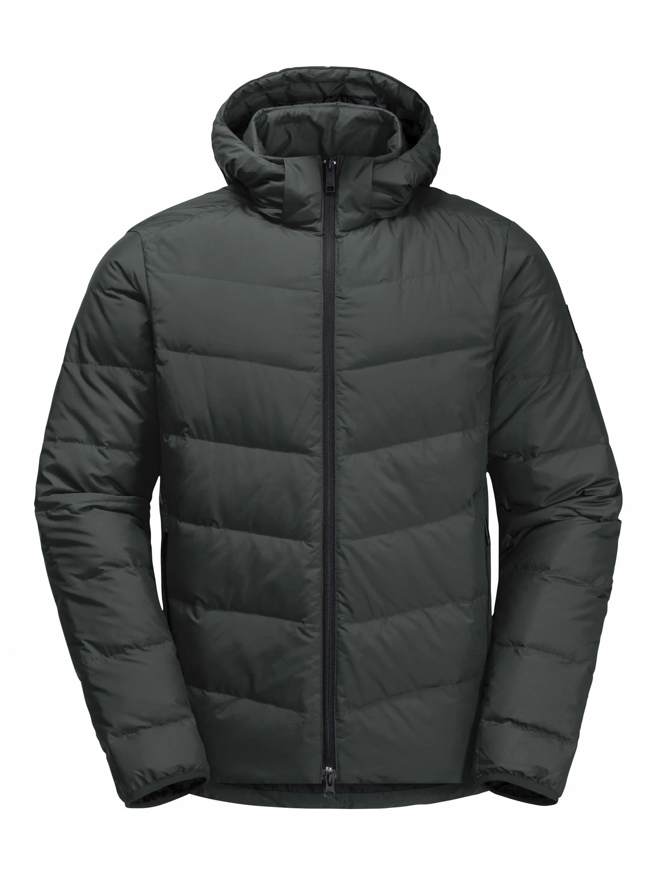Куртки та дублянки Jack Wolfskin Colonius jkt m модель 1207431_4136 Фото