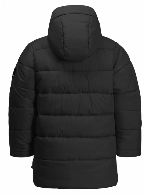 Дитяча Зимова куртка Jack Wolfskin Teen Ins Long Jacket фото 2