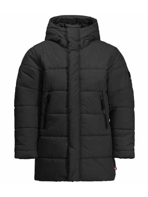 Куртки и дубленки Jack Wolfskin Teen Ins Long Jacket модель 1610171_6502 Фото