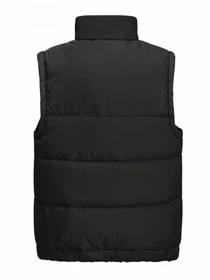 Куртки и дубленки Jack Wolfskin Teen Ins Vest модель 1610211_6502 Фото