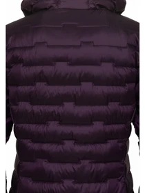 Куртки и дубленки Jack Wolfskin Passamani Down Hoody модель A61833_I0081 Фото