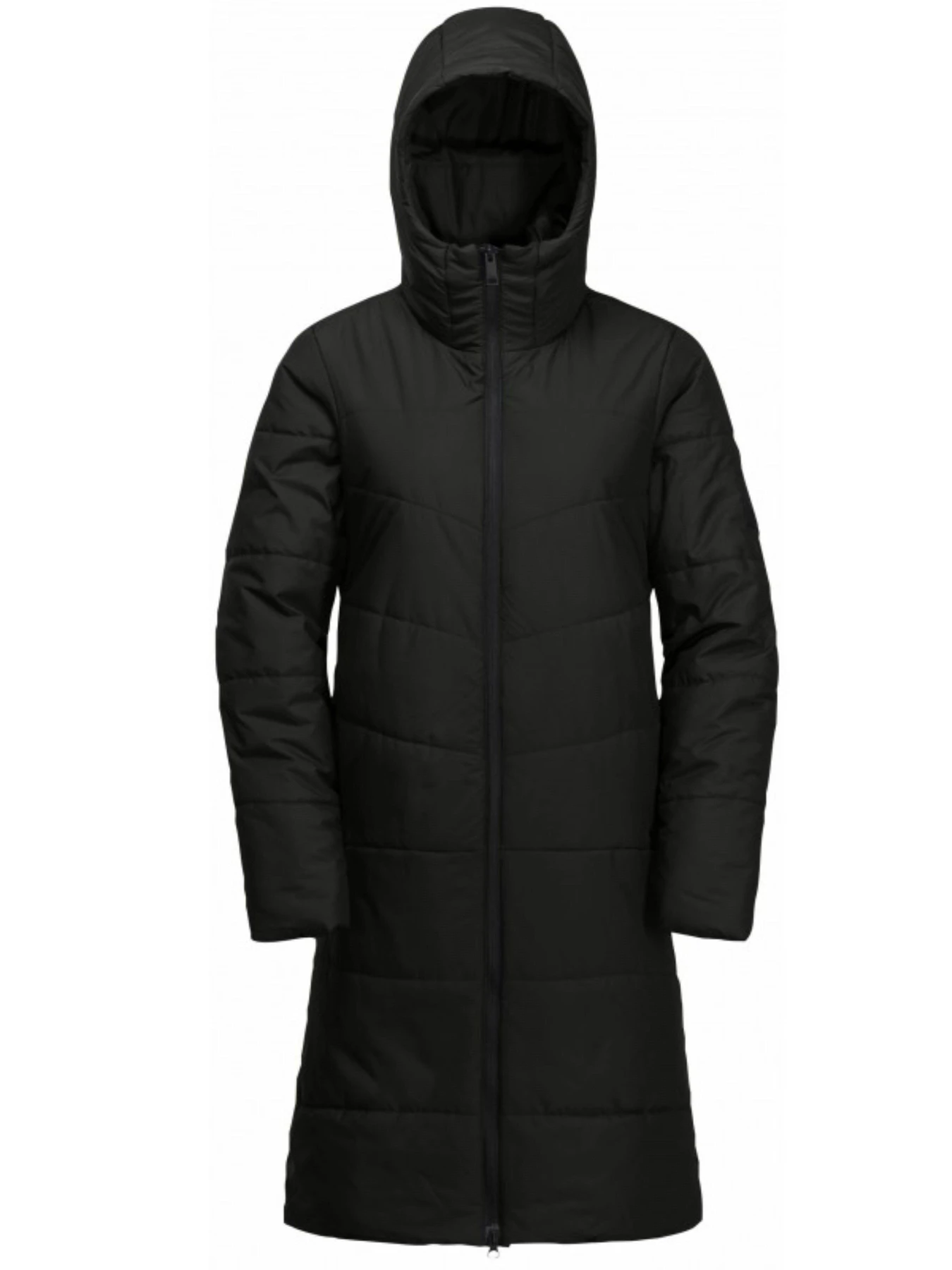 Куртки и дубленки Jack Wolfskin Deutzer модель 1207501_6350 Фото