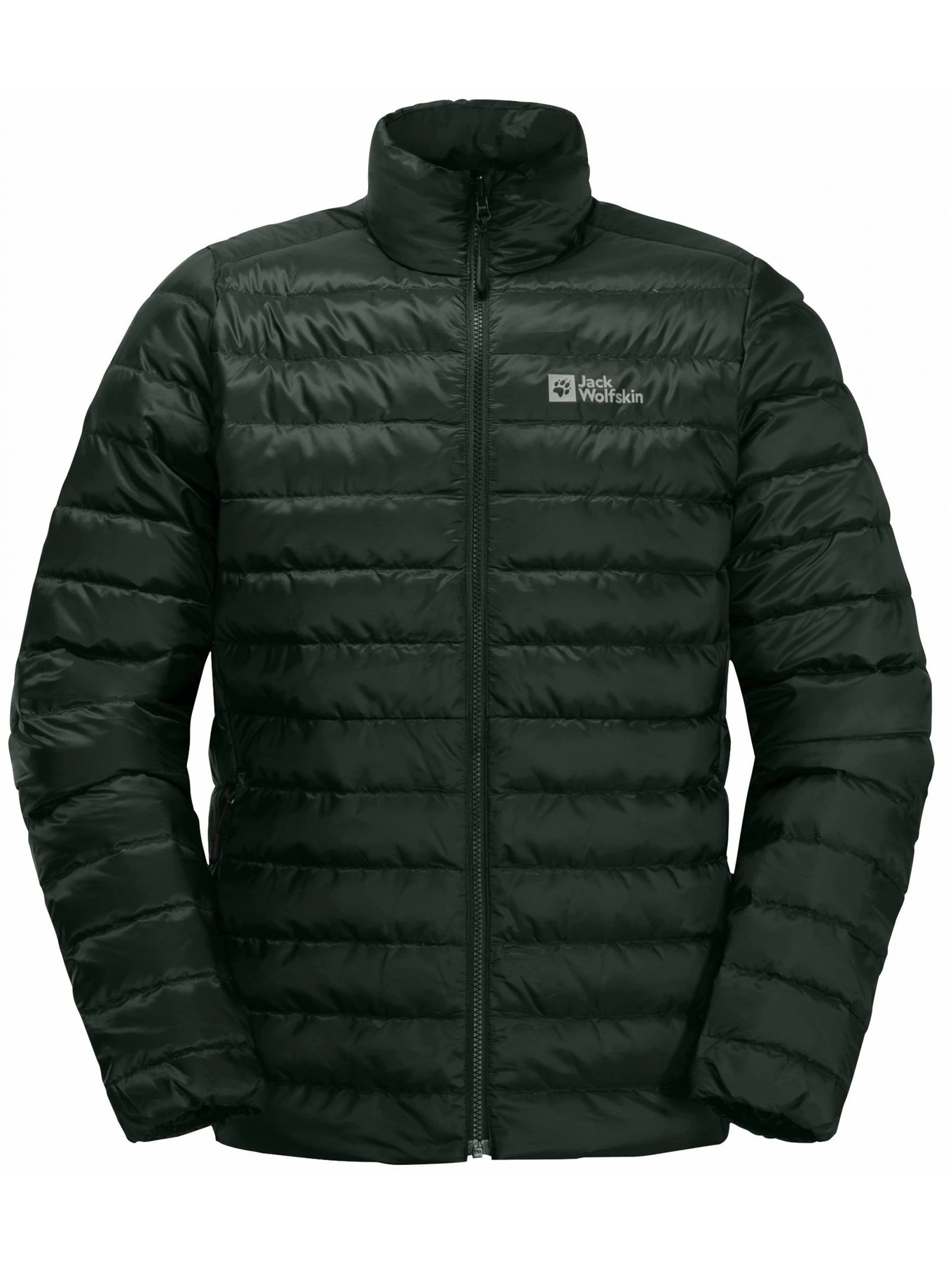 Куртки та дублянки Jack Wolfskin Pilvi модель 1207701_4161 Фото