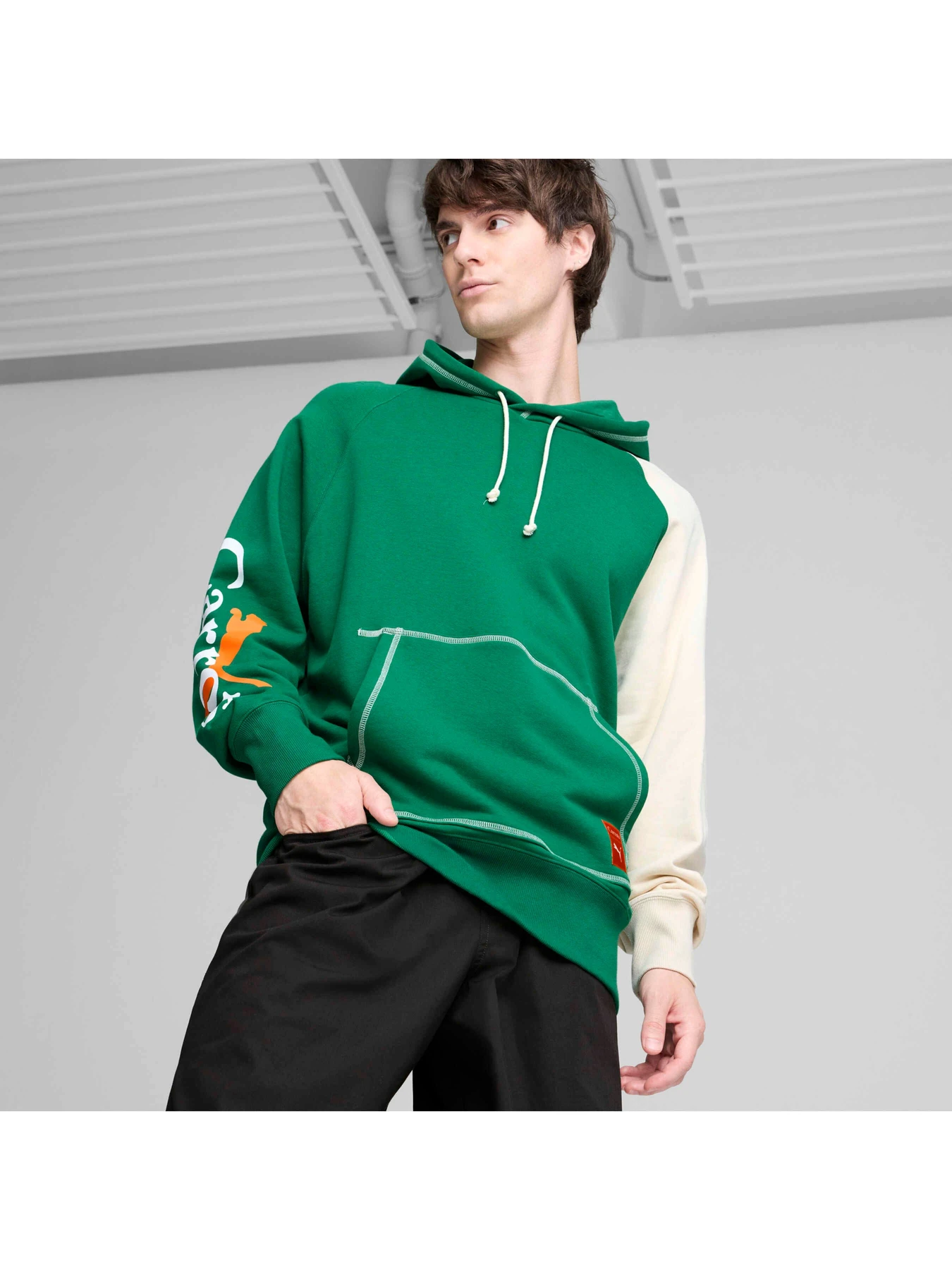 Худи и свитшоты PUMA x Carrots Hoodie модель 627445 Фото
