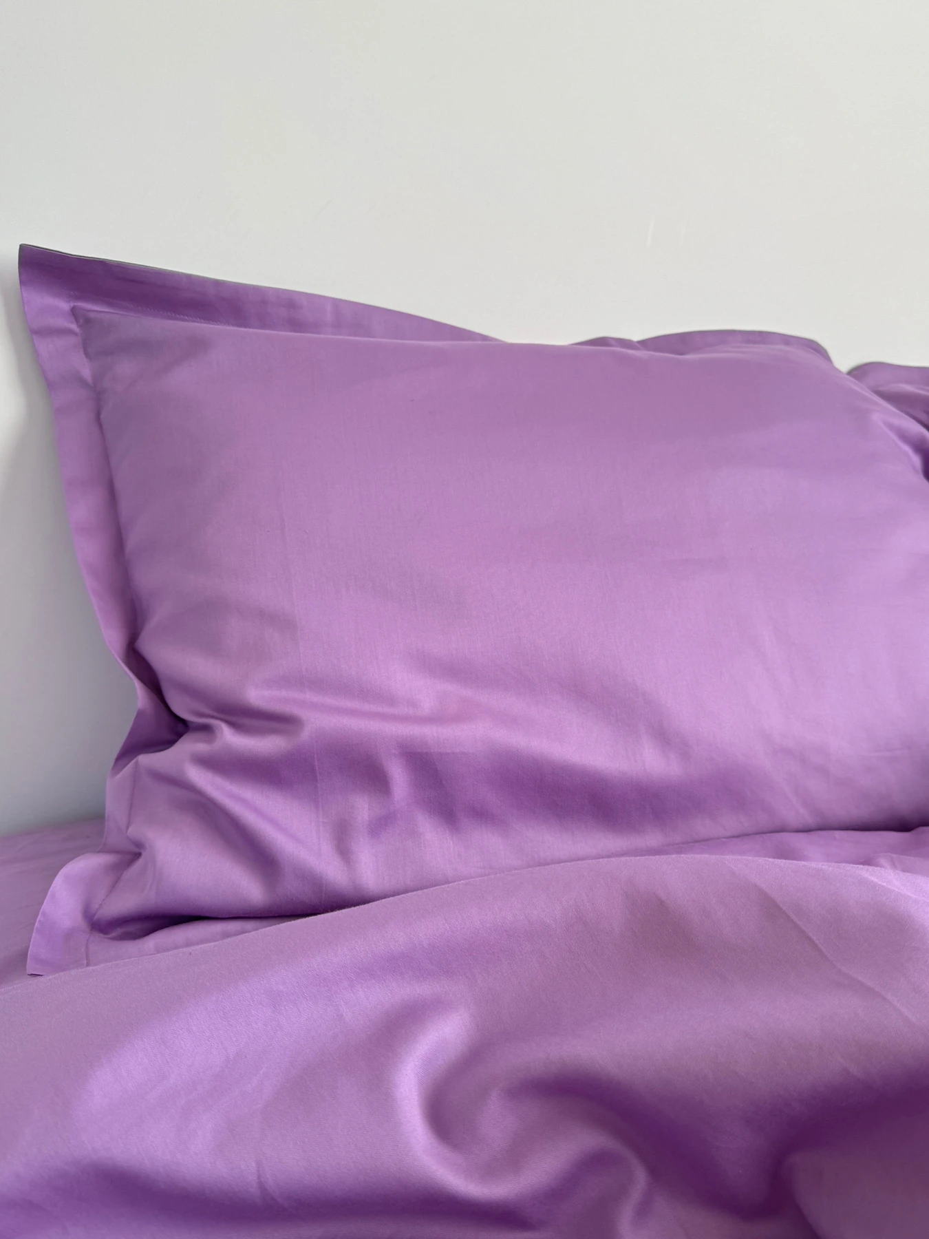 Наволочка класична бузок Cozy модель 9477591 Наволочка класична бузок Cozy модель 9477591 Фото