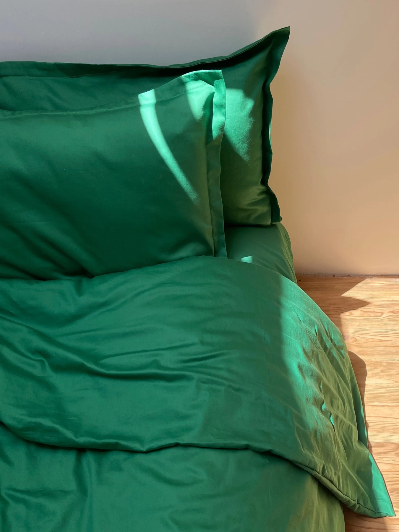 Наволочка класична зелена Cozy модель 9945722 Наволочка класична зелена Cozy модель 9945722 Фото