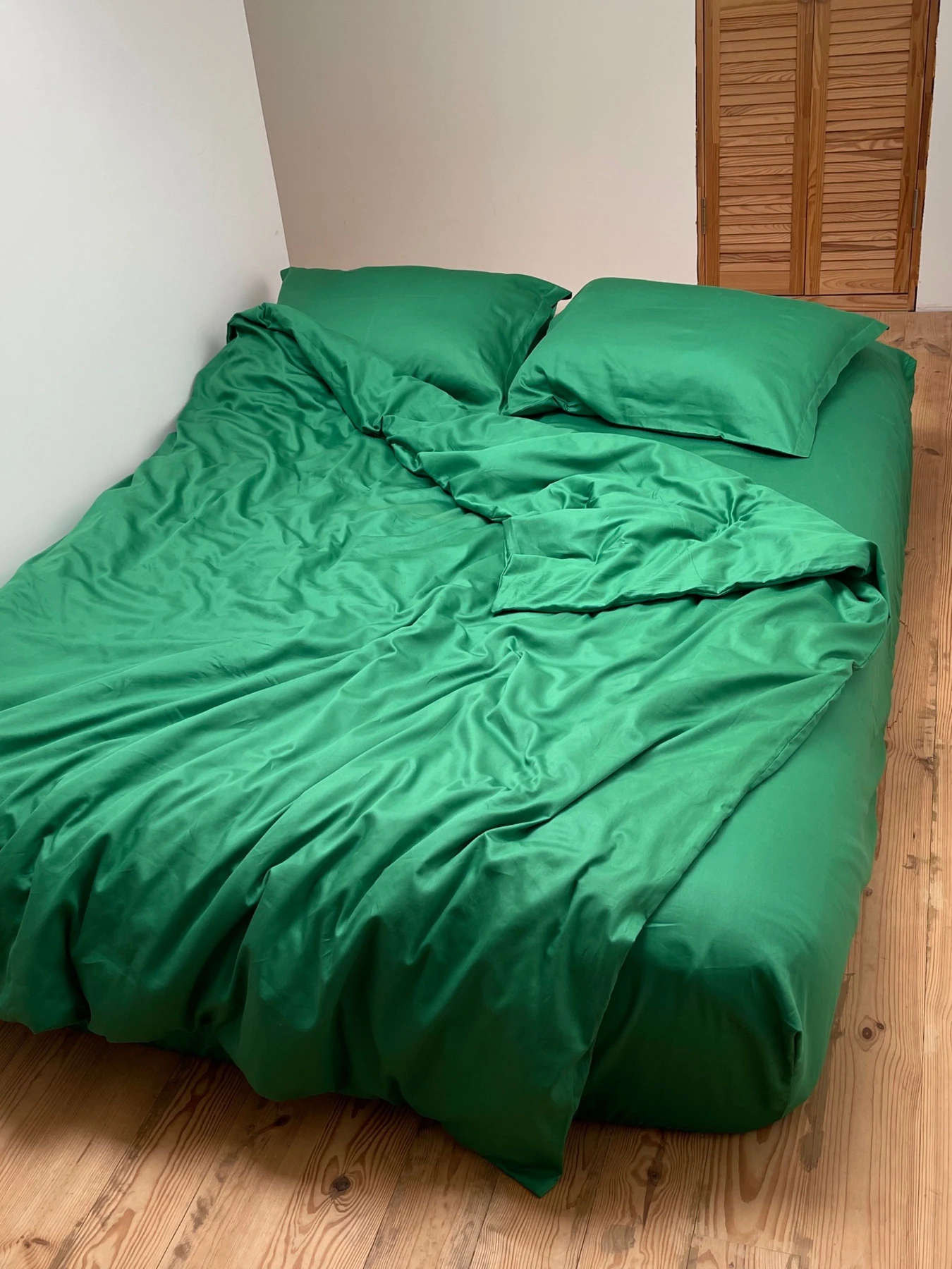 Наволочка класична зелена Cozy модель 9945722 Наволочка класична зелена Cozy модель 9945722 Фото
