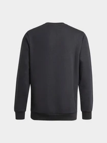 Худи и свитшоты Adidas модель GN4029 Фото