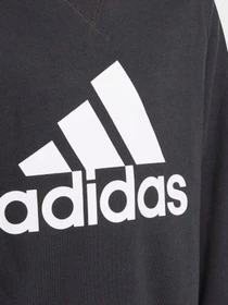 Худи и свитшоты Adidas модель GN4029 Фото