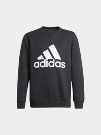 Худи и свитшоты Adidas модель GN4029 Фото