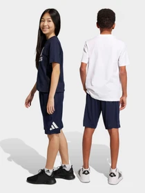 Шорты Adidas Clima модель IC5657 Фото