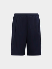 Шорты Adidas Clima модель IC5657 Фото