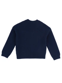 Свитры и кардиганы Chicco модель 090.69837.088 Фото