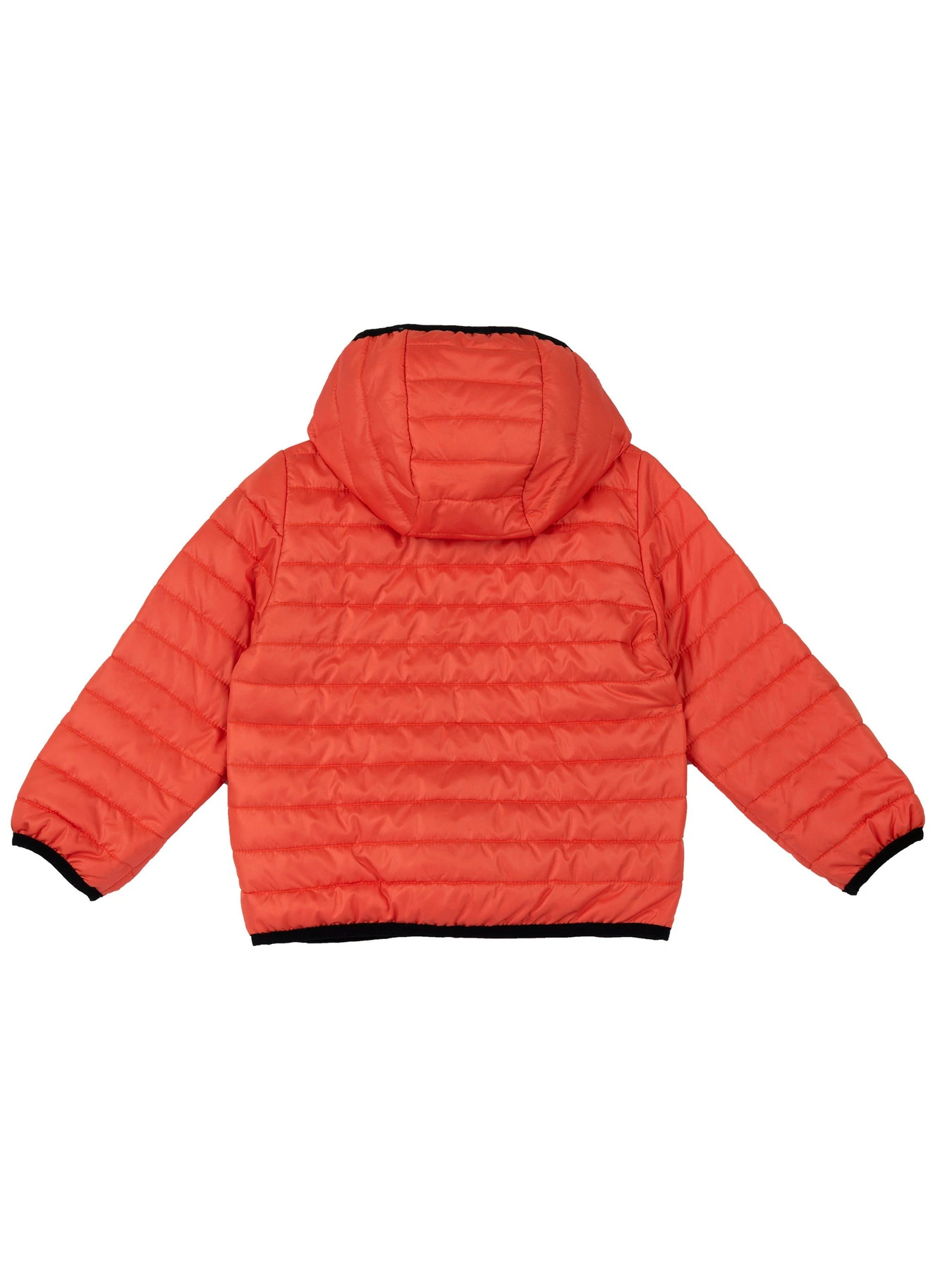 Куртки и дубленки Chicco модель 090.87814.046 Фото