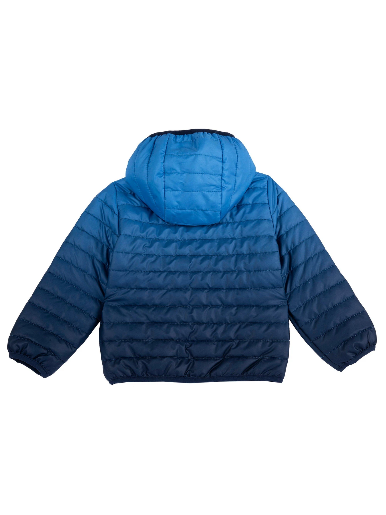 Куртки и дубленки Chicco модель 090.87825.086 Фото