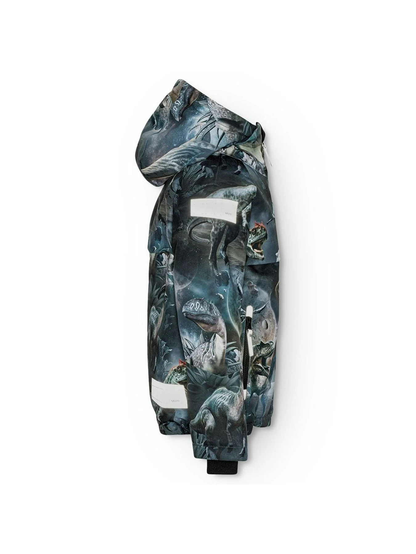 Куртки и дубленки Molo модель 5W24M311.9113 Куртки и дубленки Molo модель 5W24M311.9113 Фото