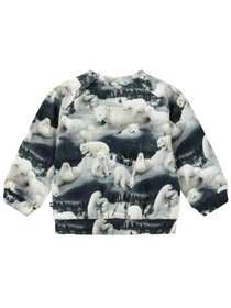 Худи и свитшоты Molo модель 6W24J201.9144 Фото
