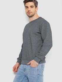 Худи и свитшоты Ager модель У-1131335::000000072 Фото