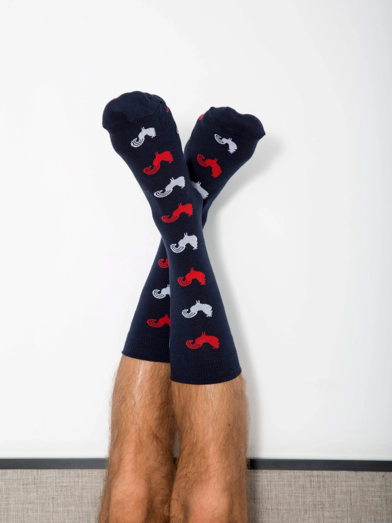 Носки и гольфы GARCON FRANCAIS Chaussettes16TRO модель Chaussettes16TRO Носки и гольфы GARCON FRANCAIS Chaussettes16TRO модель Chaussettes16TRO Фото