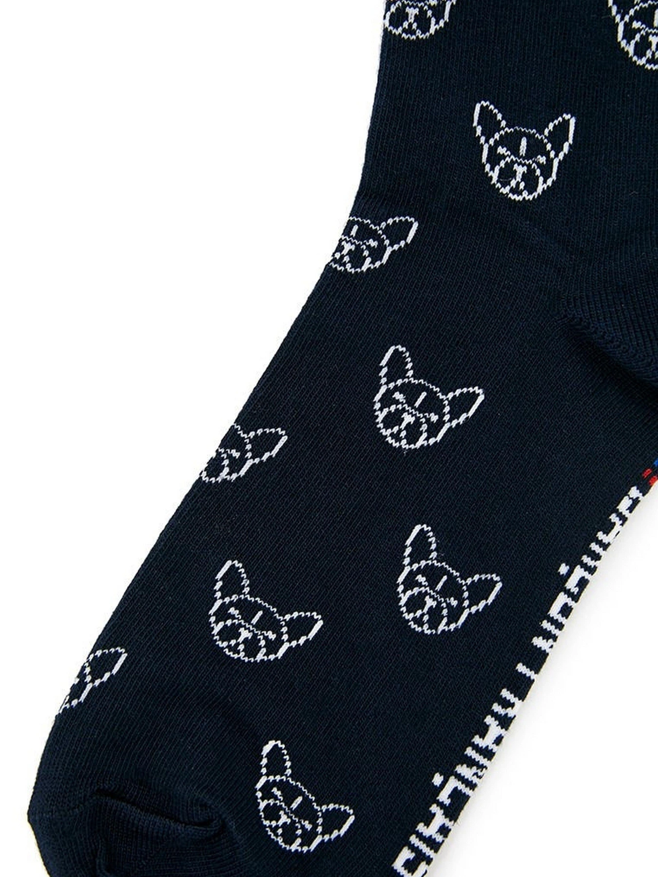 Носки и гольфы GARCON FRANCAIS Chaussettes16BBU модель Chaussettes16BBU Фото