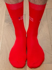 Носки и гольфы GARCON FRANCAIS Chaussettes16RED модель Chaussettes16RED Фото