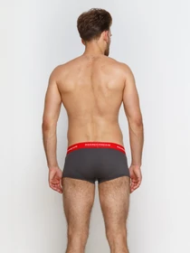 Нижнее белье GARCON FRANCAIS Shorty12GRI модель Shorty12GRI Фото