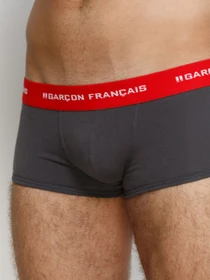 Нижнее белье GARCON FRANCAIS Shorty12GRI модель Shorty12GRI Фото