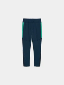 Брюки PUMA Neymar Jr Bna Trg Pants Jr модель 659707 Фото