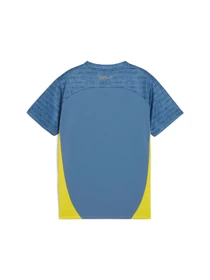 Футболки і поло PUMA Neymar Jr Bna Jersey Jr модель 659711 Фото