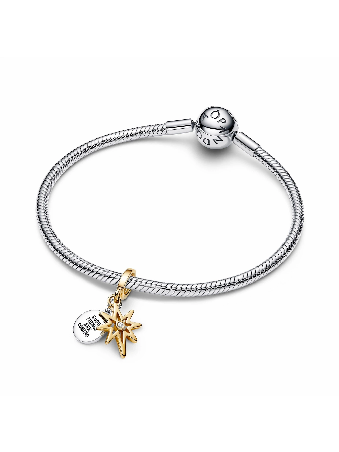 Класичні PANDORA модель 763588C01 Класичні PANDORA модель 763588C01 Фото