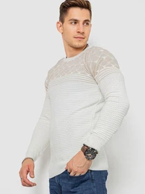 Свитры и кардиганы Ager модель У-1130596::010001859 Фото