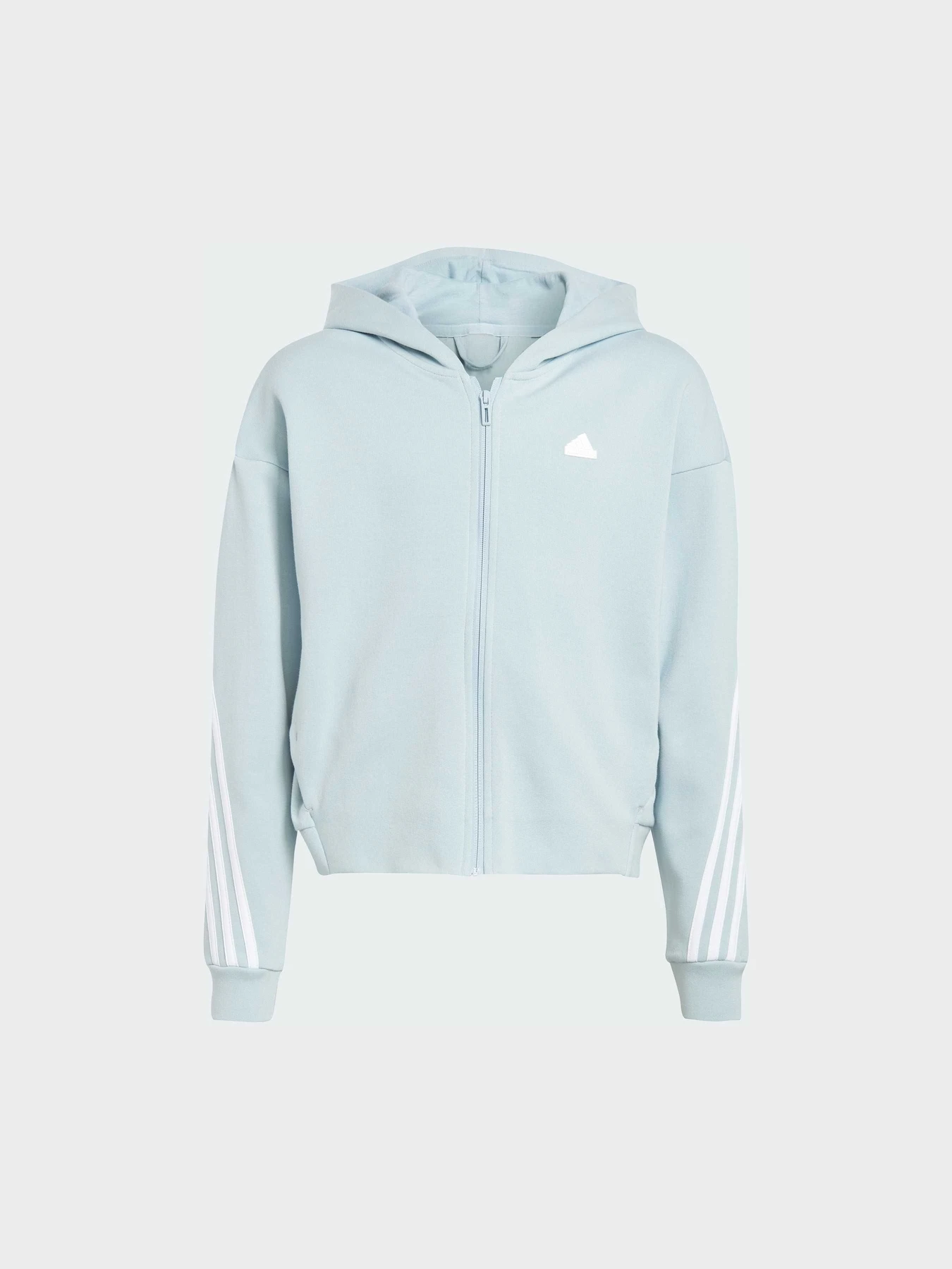 Худи и свитшоты Adidas модель IM0085 Фото