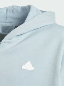 Худи и свитшоты Adidas модель IM0085 Фото