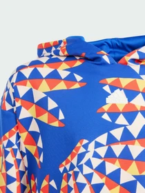Худи и свитшоты Adidas модель IP1840 Фото
