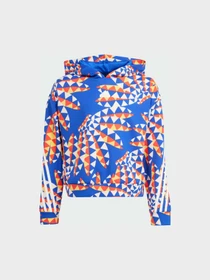 Худи и свитшоты Adidas модель IP1840 Фото