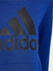 Худи и свитшоты Adidas модель HN1912 Фото