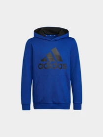 Худи и свитшоты Adidas модель HN1912 Фото