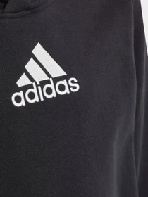Худи и свитшоты Adidas модель HR6349 Фото