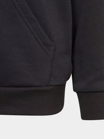 Худи и свитшоты Adidas модель HR6349 Фото